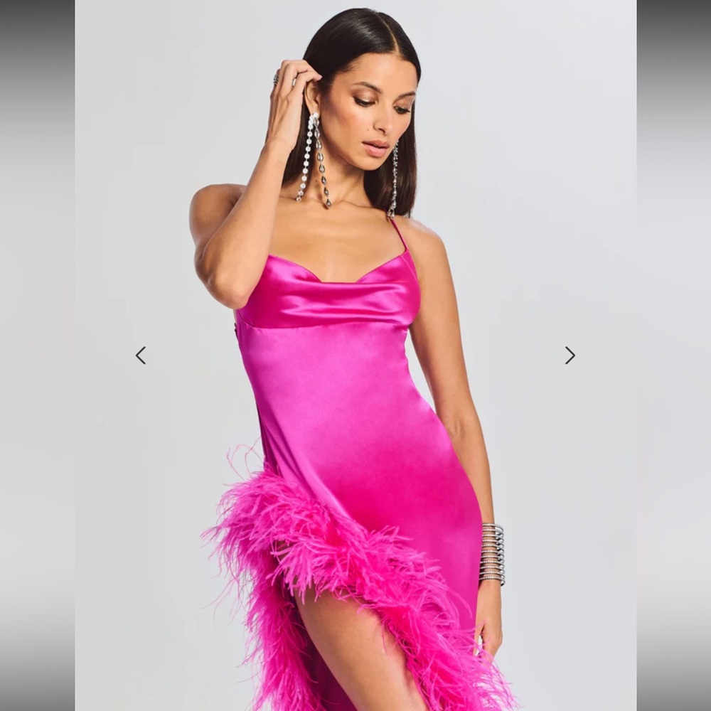 $795 NWT Retrofête PRISCILLA FEATHER DRESS - Picture 3 of 7